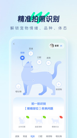 宠智灵截图