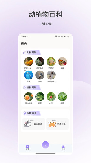 百科全书截图