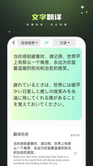 文档翻译截图